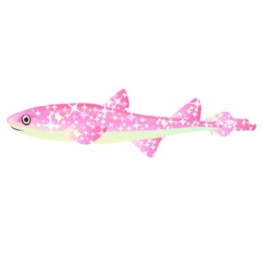 Pink Glitter Baby Cat Shark